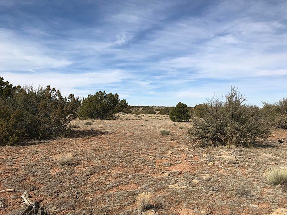3rd image of 5597 S Cattle Tank Rd