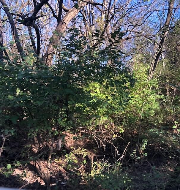 2nd image of S Happy Hollow Rd