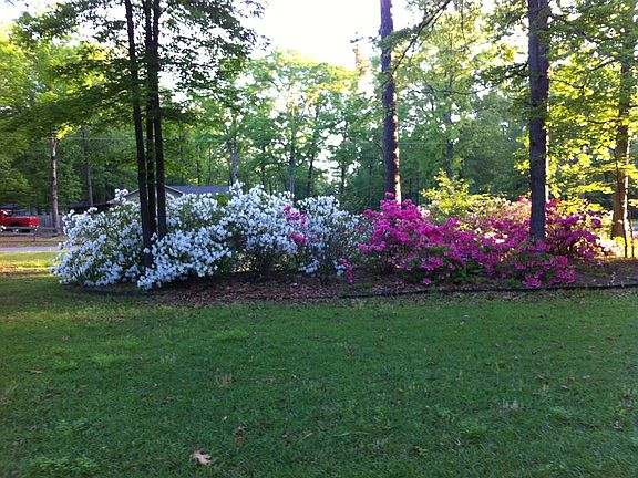 Landscaped front yd  