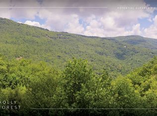 Lot 91 Bald Eagle Court, Sapphire, NC 28774