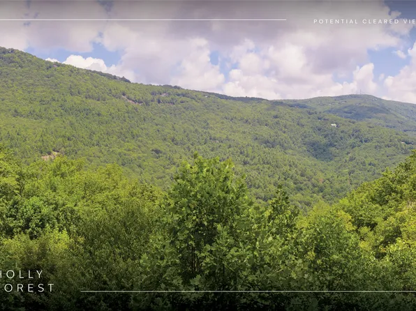 Lot 91 Bald Eagle Court, Sapphire, NC 28774