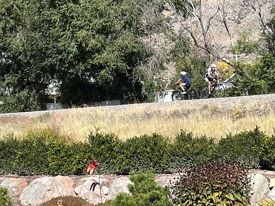 Murdock Trail