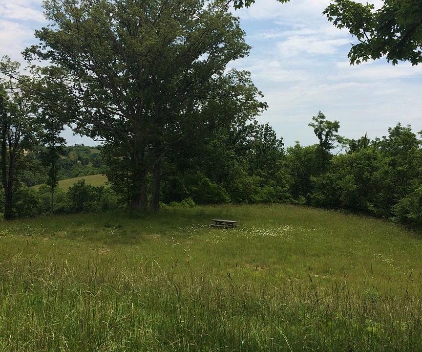 2nd image of 170 Hammond School Rd