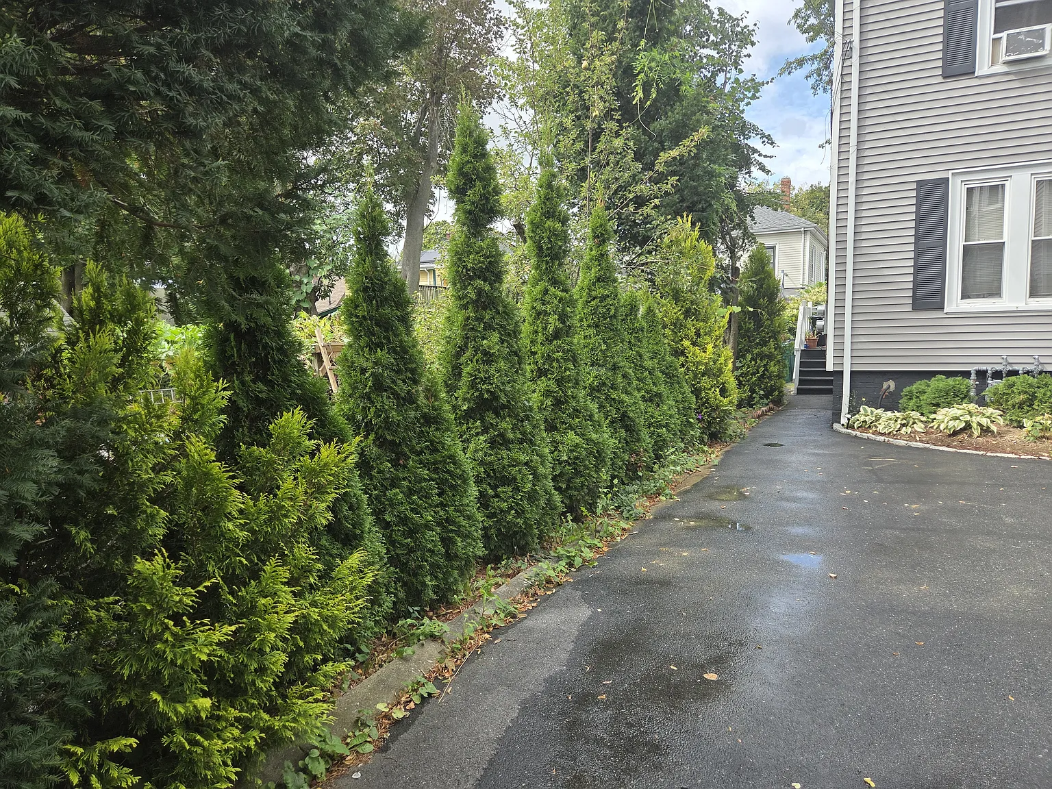 3 bed, 1100 sqft, $2,850 — Photo 4