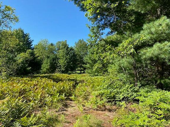 5th image of 58 Fairway Hollow Dr