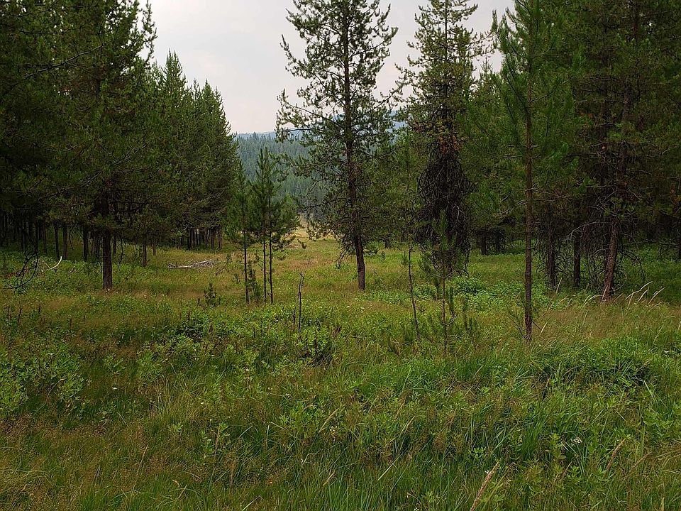 2nd image of Tbd Elk Creek Rd