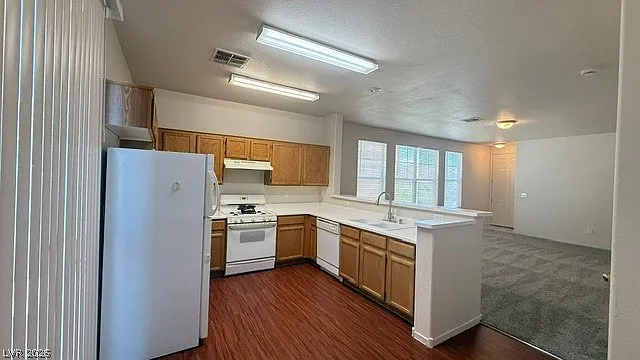 2404 Plaid Cactus Ct — Photo 6