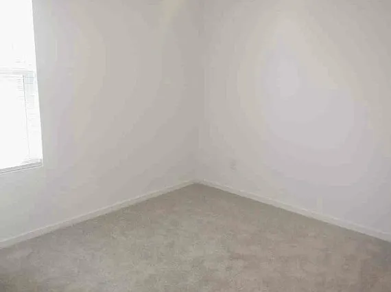 728 Dressage Ln — Photo 8