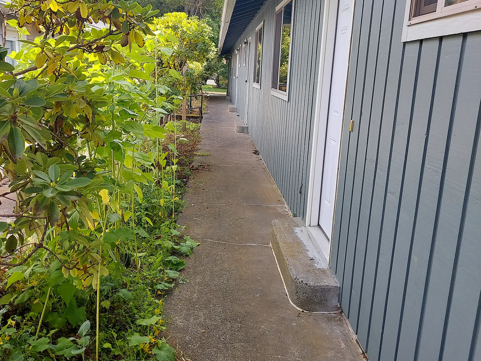 1 bed, 600 sqft, $1,350 — Photo 2