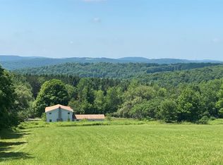 667 E Jackson Hill Rd, Meredith, NY 13846