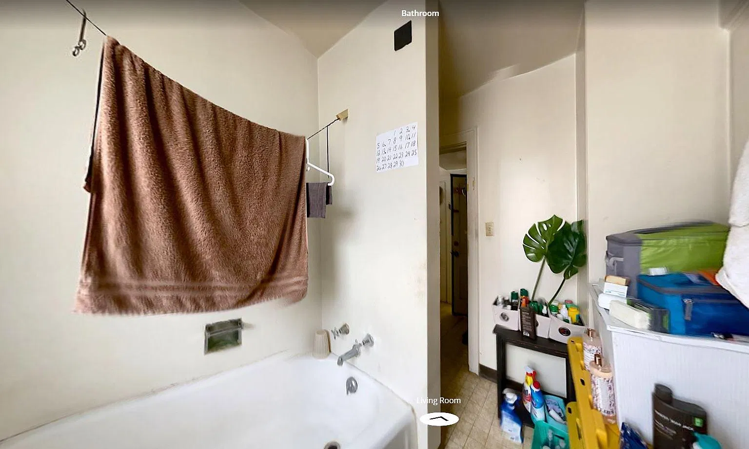 Studio, 525 sqft, $754 — Photo 4