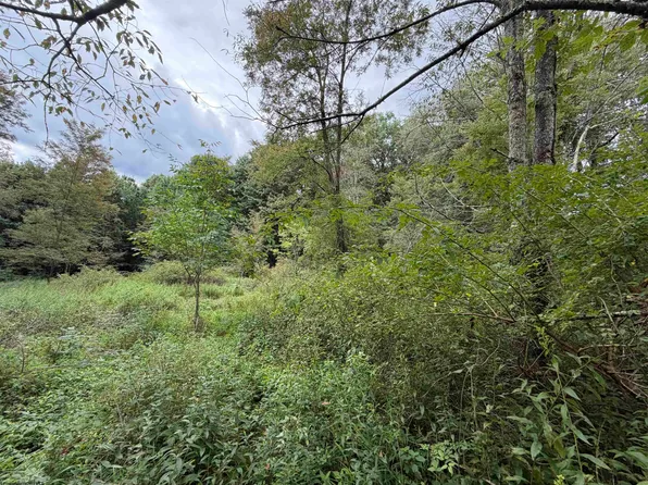 17366A Veterans Memorial Hwy, Kingwood, WV 26537