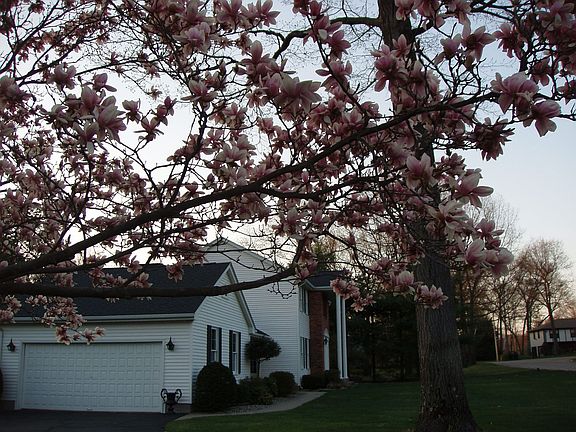 Spring is here