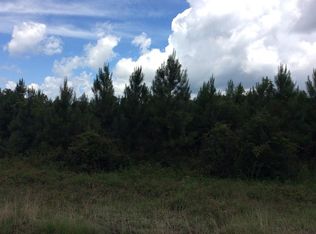 0 Old Brantley Luverne Rd, Brantley, AL 36009