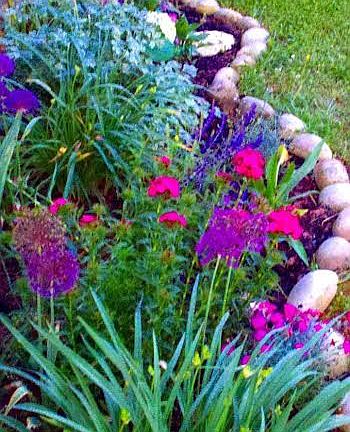 back yard flower bed