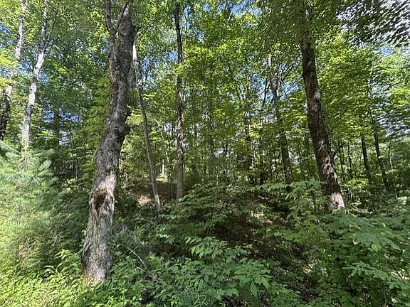 5th image of 1 Holly Ridge Dr