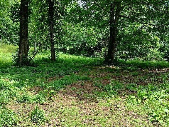 3rd image of 314 Old Sulphur Springs Rd