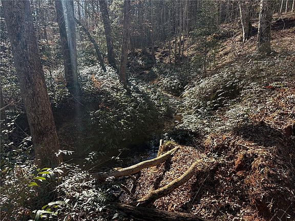 4th image of 00 Oconee Creek Rd