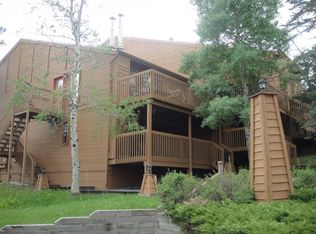 30666 Sun Creek Dr UNIT U, Evergreen, CO 80439