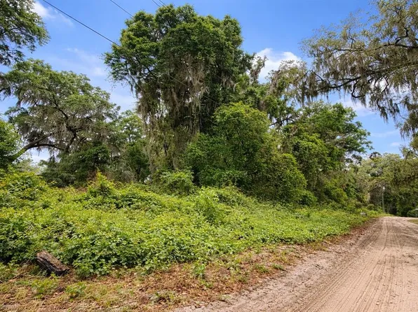 NE 52nd Ct Lot 15, Anthony, FL 32617