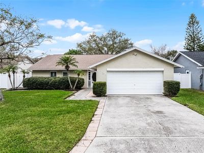 6731 Ranger Dr, Tampa, FL, 33615