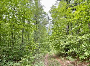 10AC Andergood Rd, Lewiston, MI 49756