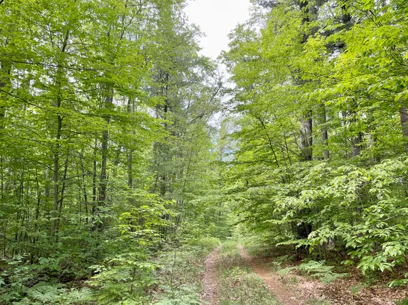 10AC Andergood Rd, Lewiston, MI 49756