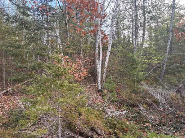 LOT 90 Laurelhill Cir, Presque Isle, MI 49777