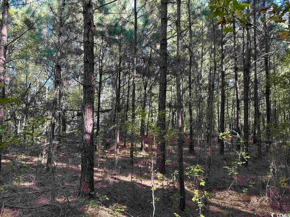 TBD Verlie Dr., Cades, SC 29518