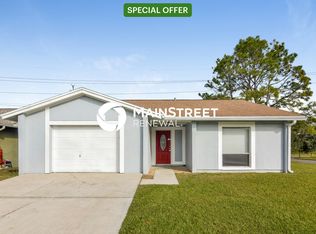1779 Lakeview Village Dr, Brandon, FL 33510