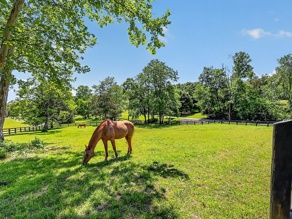 67th image of 157 Giles Ln