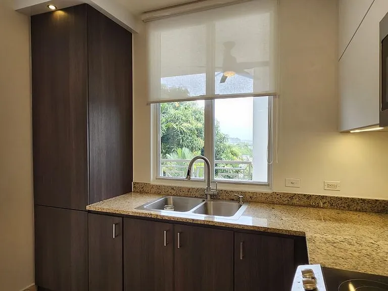 Cond Ridge Top Luxury 720 Ave San Ignacio Apt 1350 — Photo 4