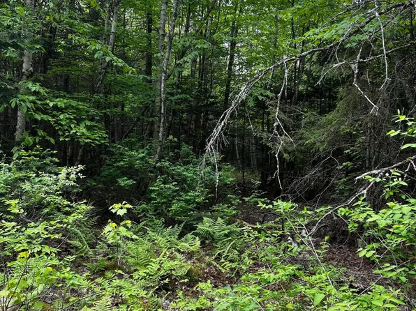 Lot 9-4 Lilly Drive, Newport, ME 04953
