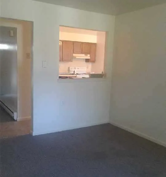458 Maple St #5 — Photo 6