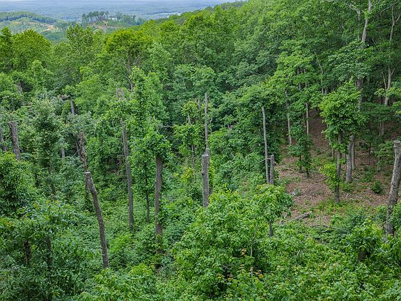 5th image of 411 Calloway Mountain Rd