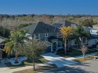 11508 Mansfield Point Dr, Riverview, FL 33569