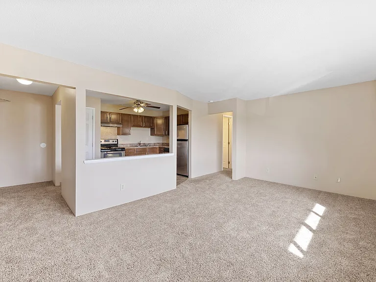 Living room/Kitchen