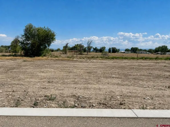 Lot 13 TBD Cunningham Street, Delta, CO 81416