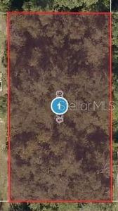 Elm St #10, Lady Lake, FL, 32159