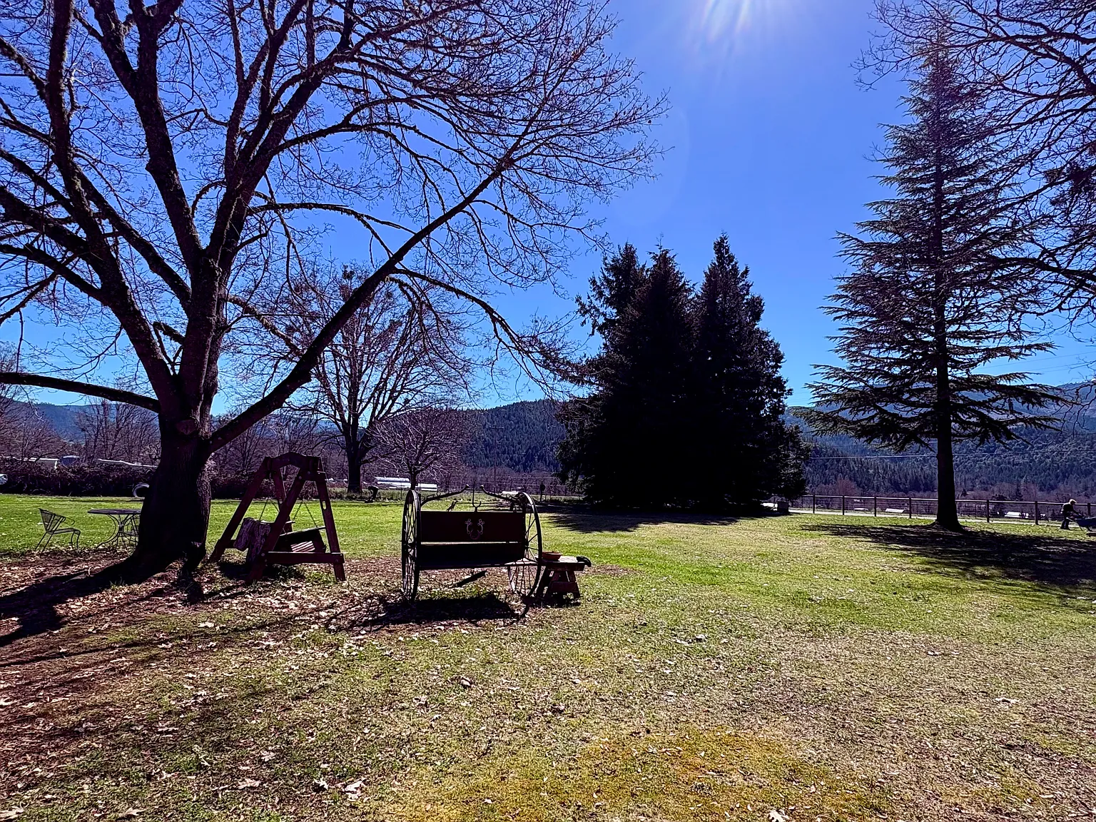 1 bed, 900 sqft, $1,500 — Photo 3