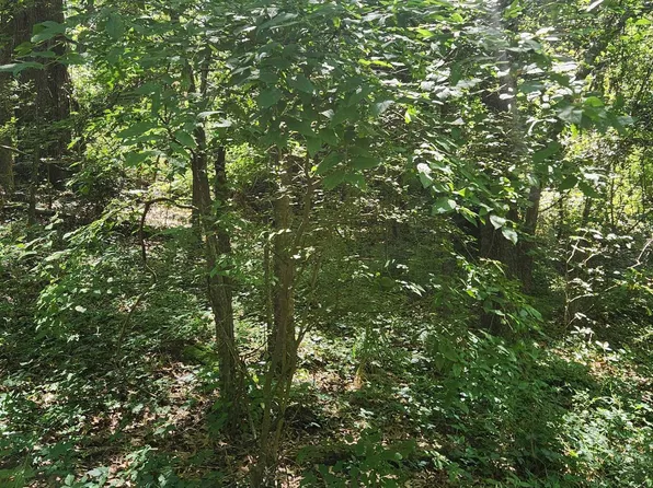 LOT 12 Oakhill Rd, Jefferson, TX 75657