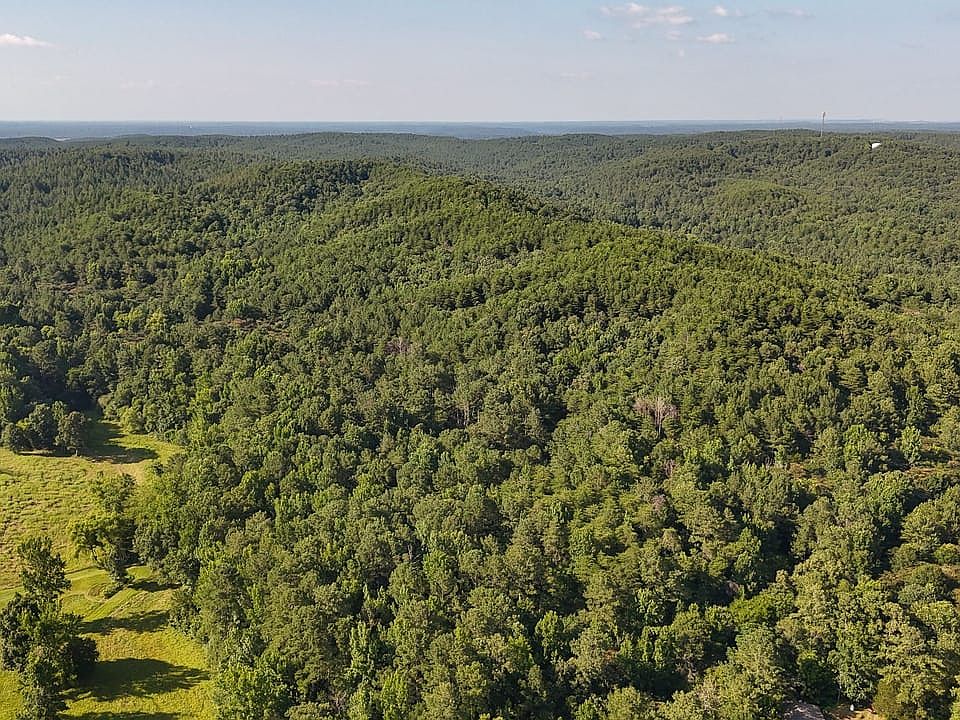 Compass South Land Sales Alabama Walker Circle Tract 2