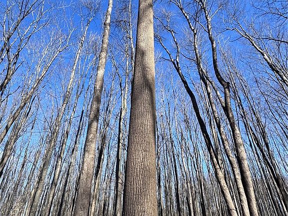 3rd image of V/l 5 Painesville Warren Rd