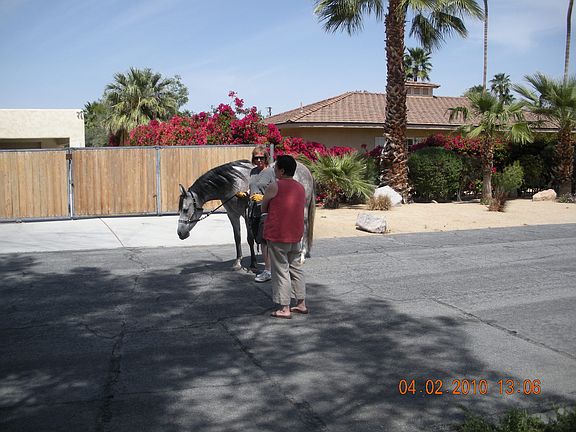 Equestrian zone (neighbor)