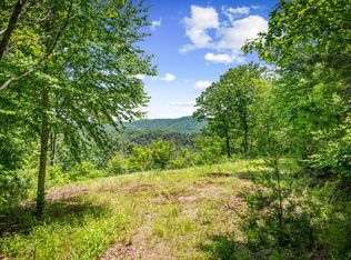 379 Dream Catcher, Blue Ridge, GA 30513