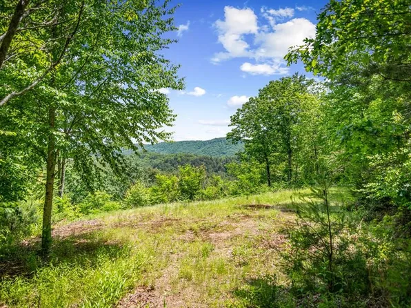 379 Dream Catcher, Blue Ridge, GA 30513