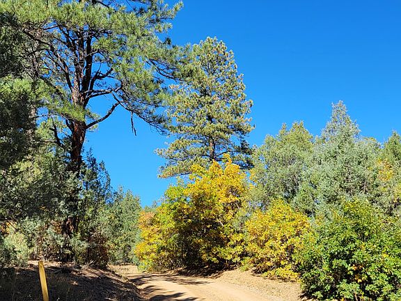 3rd image of 17250 County Road 51