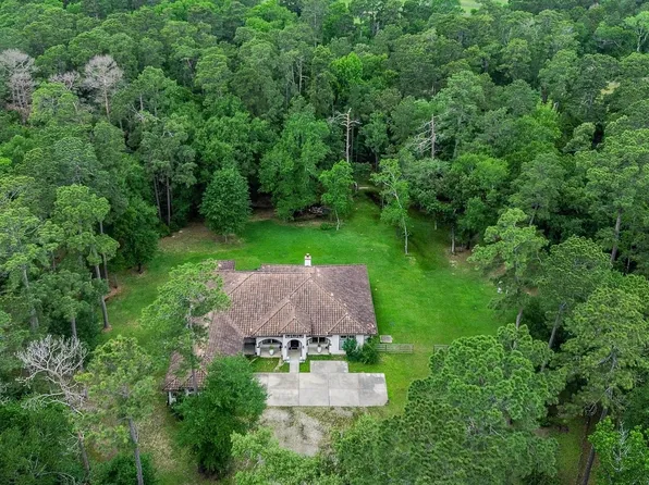 24387 Lenze Rd, Spring, TX 77389