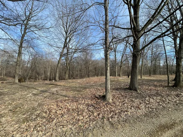 16161 W Clear Lake Rd, Buchanan, MI 49107