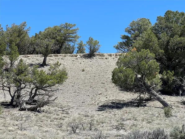 Buena Vista Dr, Tierra Amarilla, NM 87575